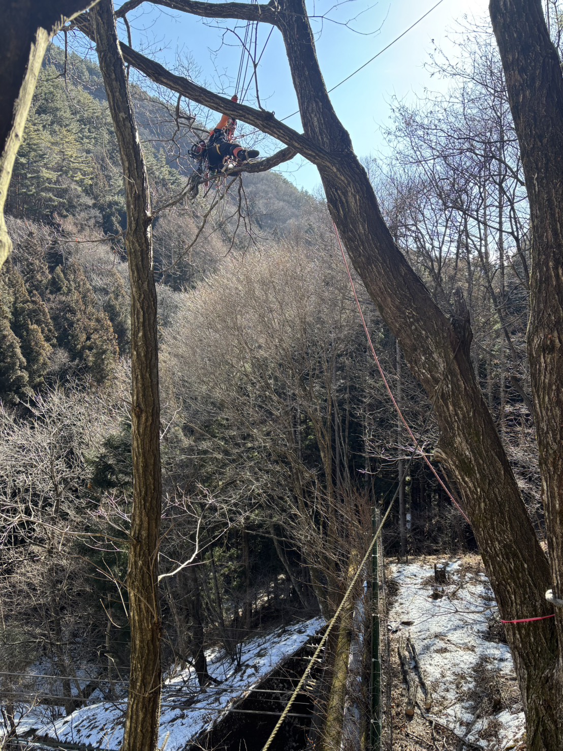 ���؎{�H�Q