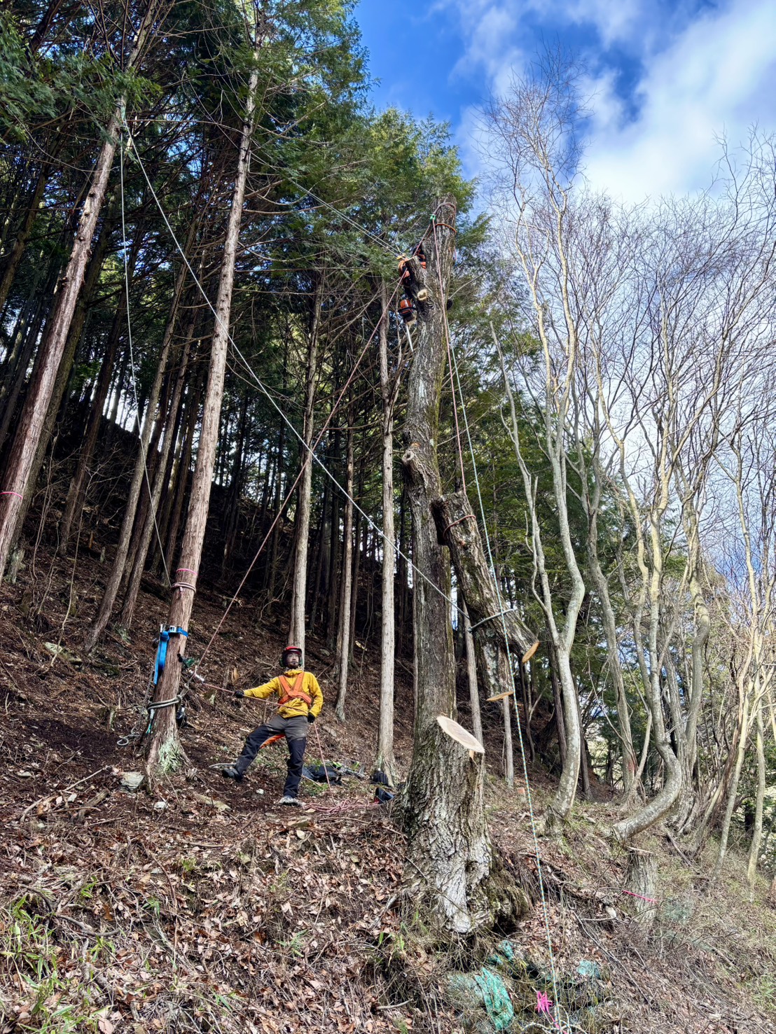 ���M���O�Q